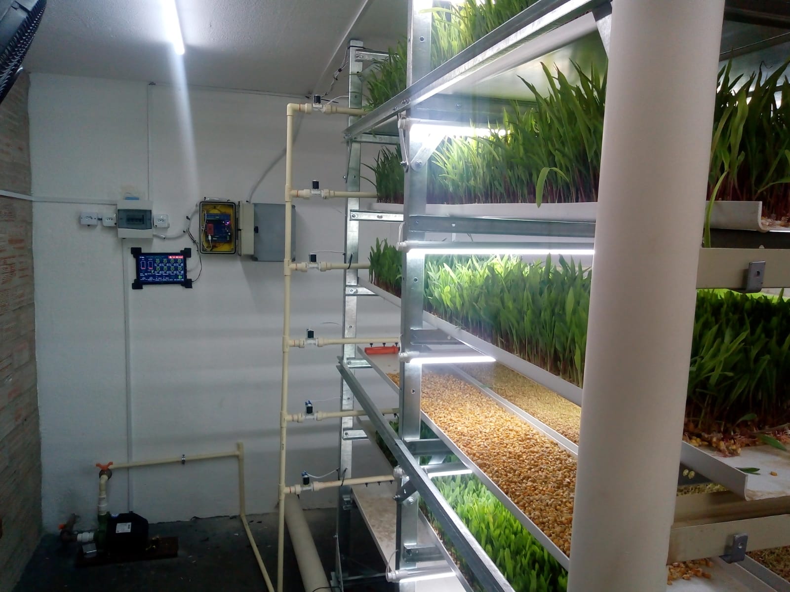 Monitoreo cultivo hidropónico 1