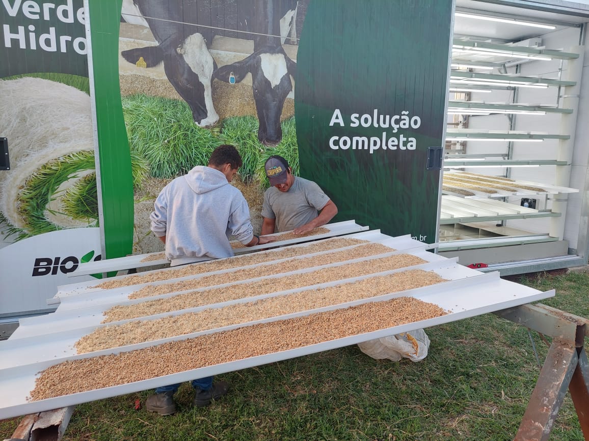 Monitoreo cultivo hidropónico 7
